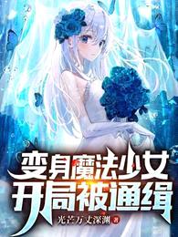 变身魔法少女，开局被通缉封面